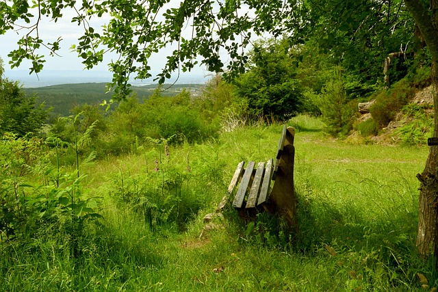 瞩目的盛事 瞩目的盛事