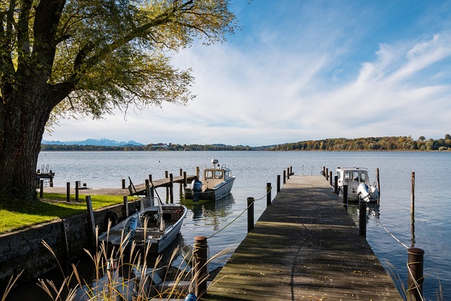 一个强大的 一个强大的